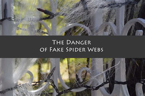 are fake spider webs dangerous